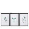 Uttermost Simple Sage Watercolor Prints, Set Of 3 In Gray
