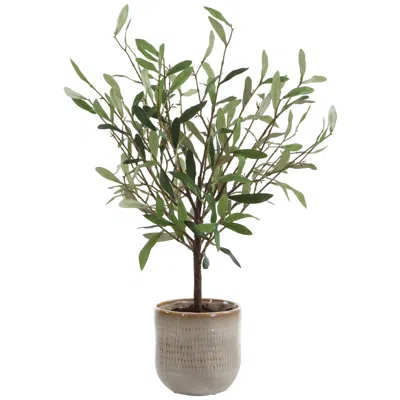 Uttermost Solea Olive 22 3/4" High Artificial Accent In Container