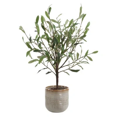 Uttermost Solea Olive Accent & Textured Vase In Green