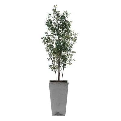 Uttermost Sonora Olive Tree In Planter In Green