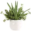 Uttermost Sundown 16 1/2" Succulent Accent