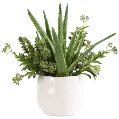 Uttermost Sundown 16 1/2" Succulent Accent