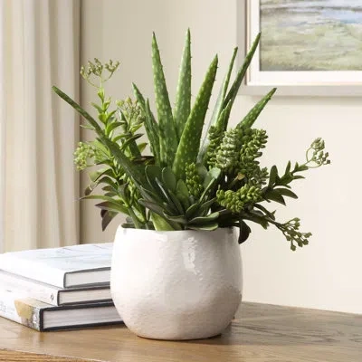 Uttermost Sundown Succulent Accent Planter In Green