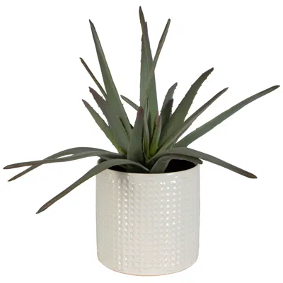 Uttermost Taos Aloe Centerpiece