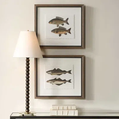 Uttermost The Catch Framed Fish Prints Set/2 In Black;brown;green;gray;orange