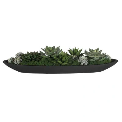 Uttermost Verde Succulent Centerpiece In Bowl In Green