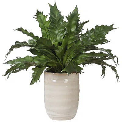 Uttermost Verdure 21" Wide X 15 1/2" High Fern