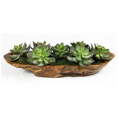 Uttermost Yuma Green Succulent 27" Wide Faux Plant In Bowl