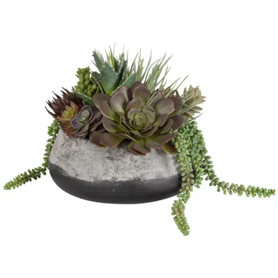 Uttermost Yuma Succulent Centerpiece