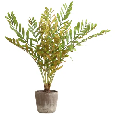 Uttermost Zamia Palm 57 3/4" High Accent Tree