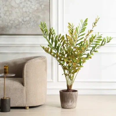 Uttermost Zamia Palm Accent In Planter In Green