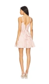 V. Chapman Betina Mini Dress In Light Pink Tapestry Rose
