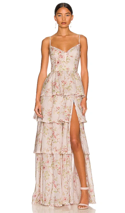 V. Chapman Caterina Dress In Pink Rose Print