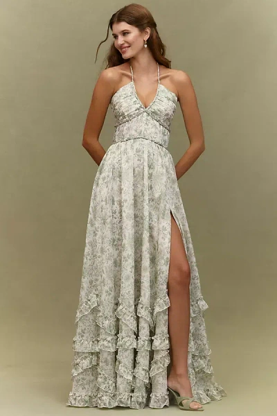 V. Chapman Scarlette Halter Embellished Corset Organza Maxi Dress In Green