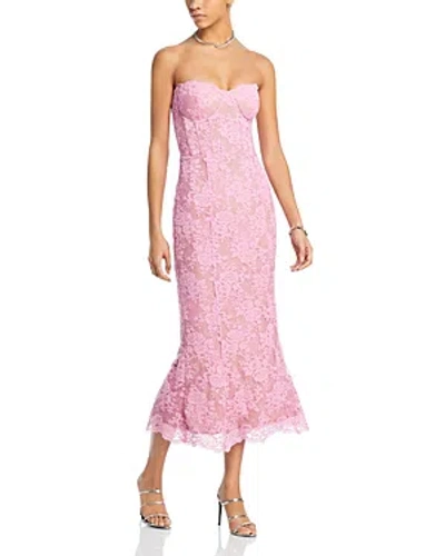 V. Chapman Betty Lace Corset Midi Dress In Begonia