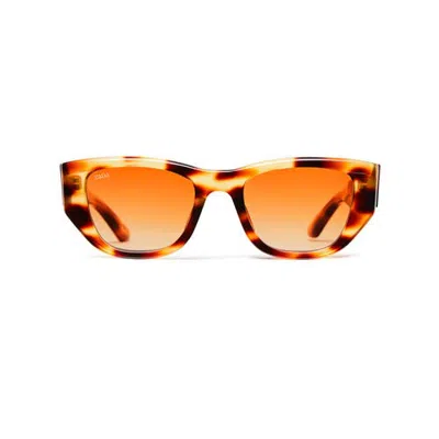Vada Kauboi Sunglasses In Brown