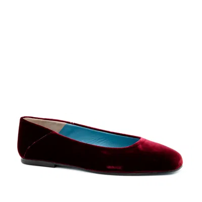 Valentina Rangoni Women's Red Betulla Sophisticated Flat - Bordeaux Valvet Master