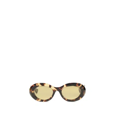 Valentino Brown Acetate Sunglasses
