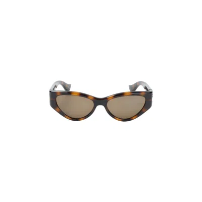 Valentino Havana Havana Brown Acetate Sunglasses In White