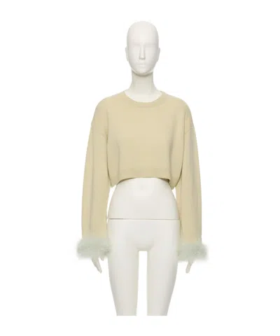 Valentino Cashmere Jumper With Feathers In Multi