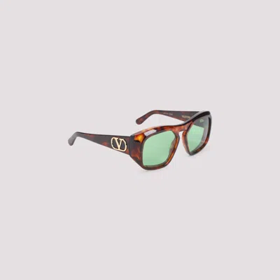 Valentino Dark Havana Acetate Sunglasses In Brown