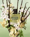 VALENTINO DONNA BORN IN ROMA GREEN STRAVAGANZA EAU DE PARFUM FRAGRANCE COLLECTION