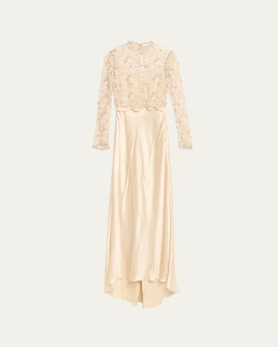 Valentino Embroidered Lace Long-sleeve Silk Gown In Neutral