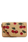 Valentino Embroidered Raffia Mini Vlogo Signature Shoulder Bag