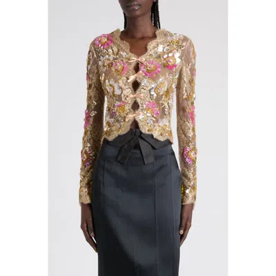Valentino Embroidered Silk Lace Top In Multi