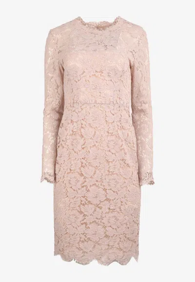 Valentino Floral Lace Knit Long-sleeved Dress In Blush