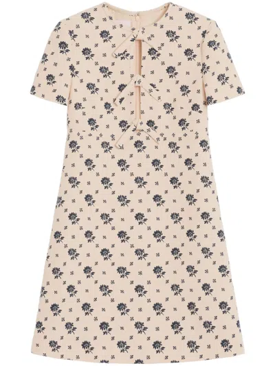 Valentino Floral-print Mini Dress In Neutrals