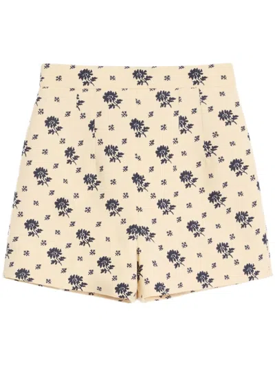 Valentino Floral-print Shorts In Neutrals