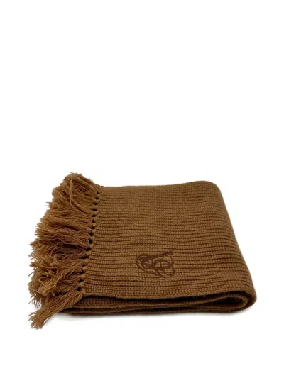Valentino Fringed Logo-detail Scarf In Brown