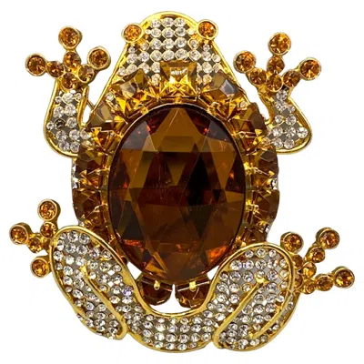 Pre-owned Valentino Garavani 1980s Big Frog Rhinstone Brooch In Multi