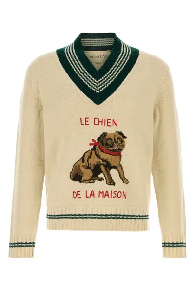 Valentino Garavanile Chien De La Maison Sweater In Neutral