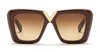 Valentino V-gold Ii Acetate Butterfly Sunglasses In Brown