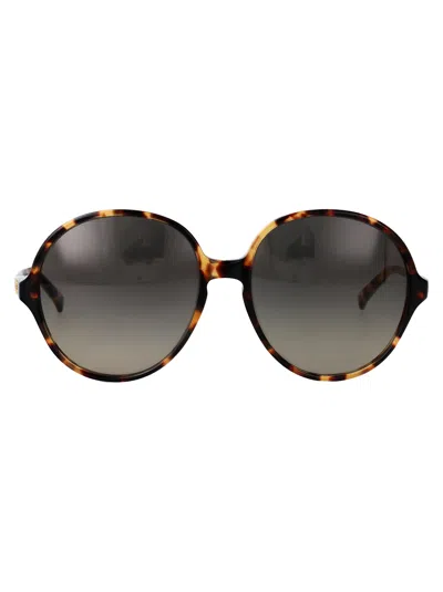 Valentino Garavani Sunglasses Vg0017 S 002 In Brown