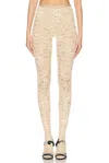 Valentino Beige Floral Lace Tights With Logo Waistband In Betulla