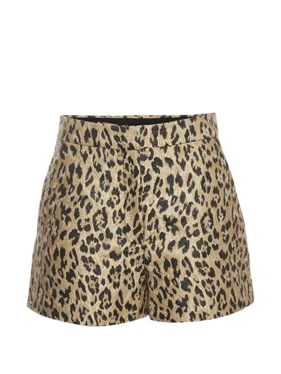 Pre-owned Valentino Leopard-print Jacquard Shorts In Neutrals