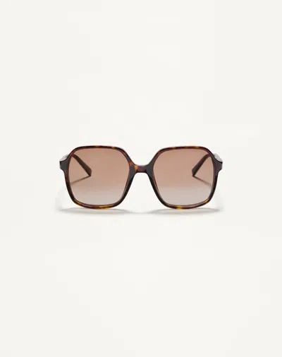 Valentino Garavani Valentino Rectangular Acetate Glasses Woman Havana/brown 56