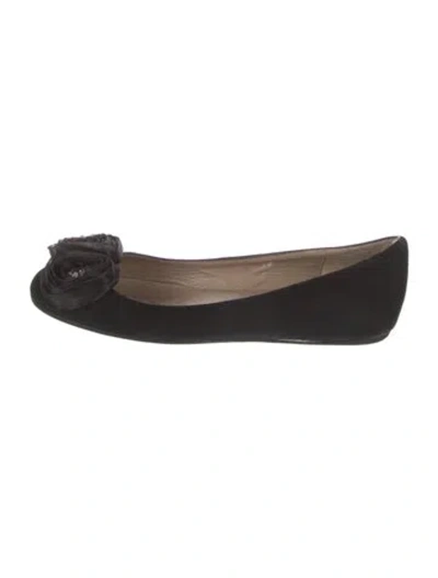 Pre-owned Valentino Garavani Roses Suede Ballet Flats In Black