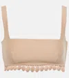 Valentino Scalloped Cotton-blend Bra Top In Beige