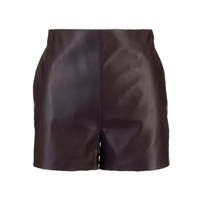 Valentino Short In Brown