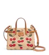 Valentino Antibes Small Leather-trimmed Embroidered Raffia Tote