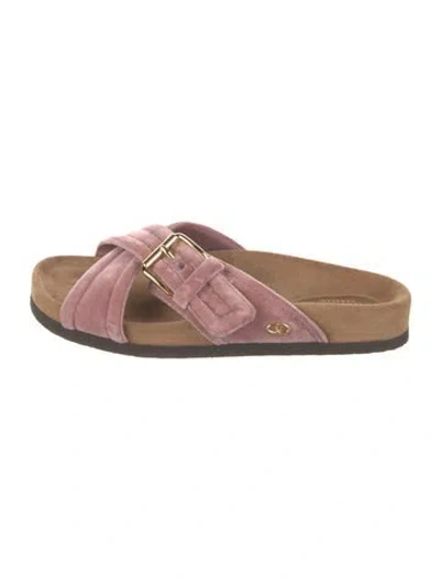 Pre-owned Valentino Garavani Velvet Slides In Pink