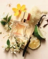 Valentino Voce Viva Eau De Parfum Collection In No Color