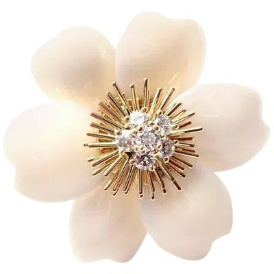 Pre-owned Van Cleef & Arpels Rose De Noel Diamond White Coral Flower Yellow Gold Brooch