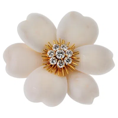 Pre-owned Van Cleef & Arpels Rose De Noël White Coral 18k Yellow Gold Brooch