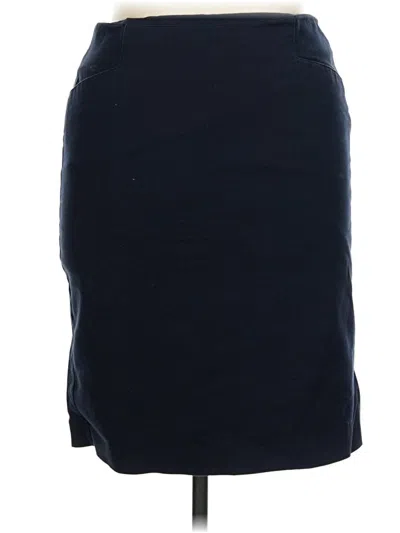 Pre-owned Van Heusen Casual Skirt In Blue