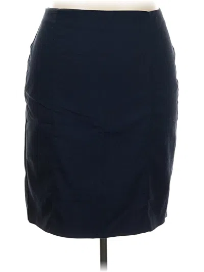Pre-owned Van Heusen Casual Skirt In Blue